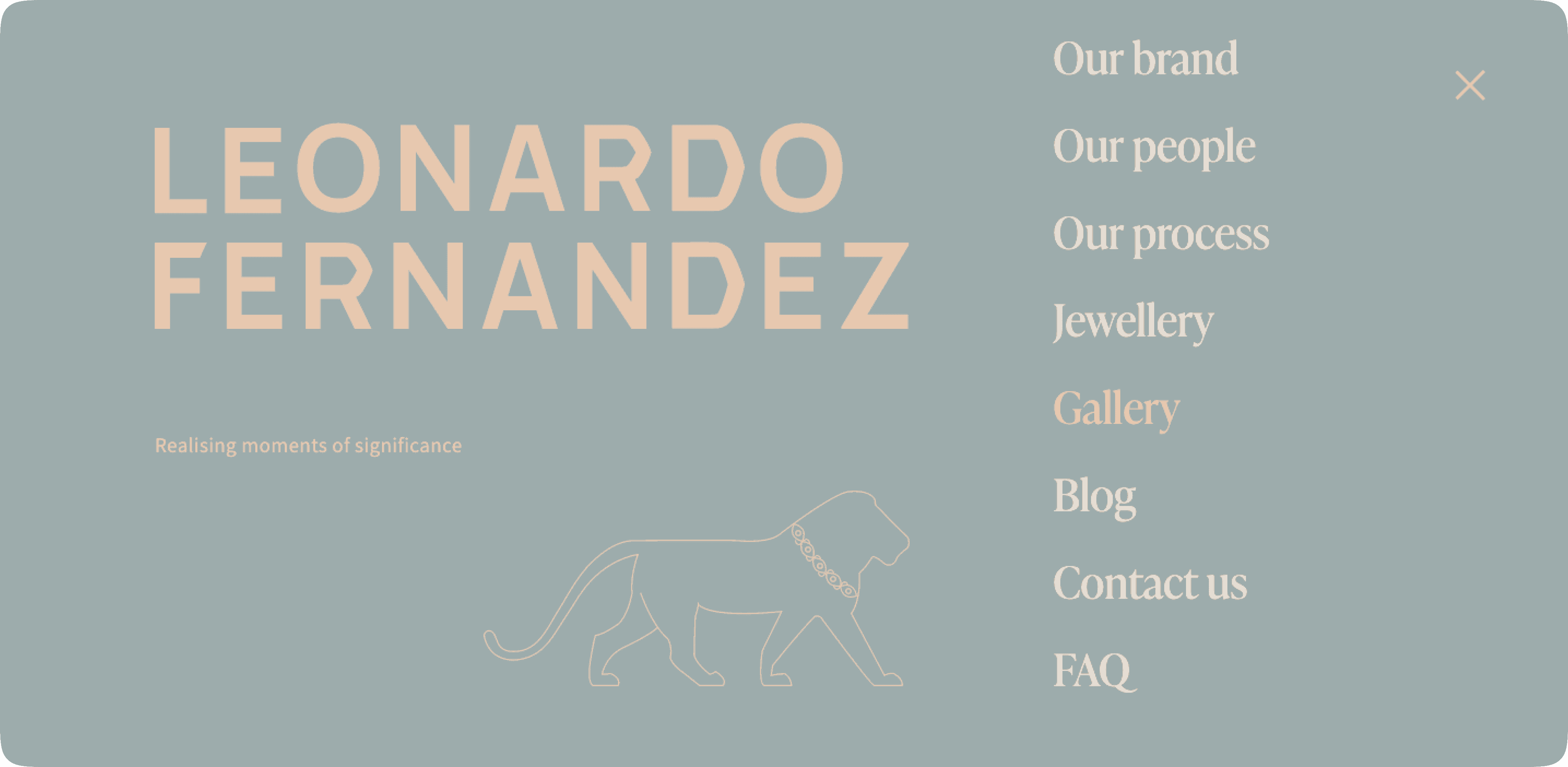 Leonardo Fernandez VideoImage